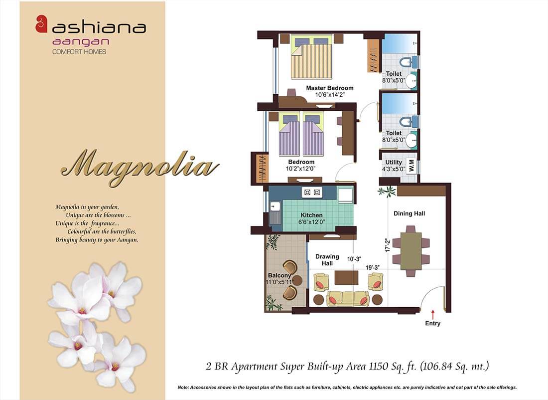Magnolia