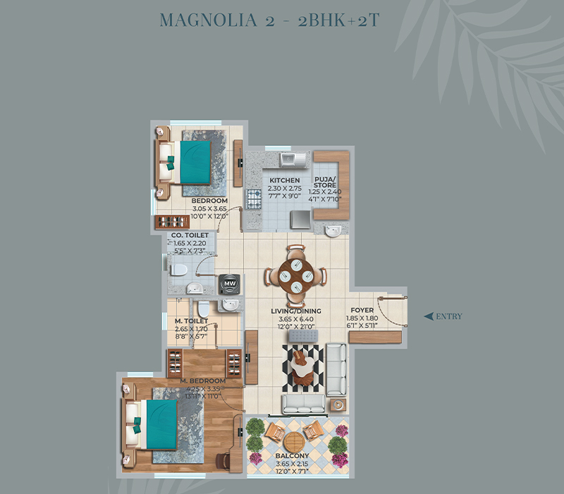 Magnolia-2