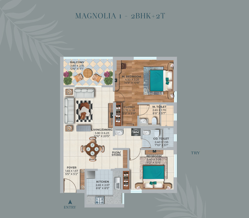 Magnolia-1