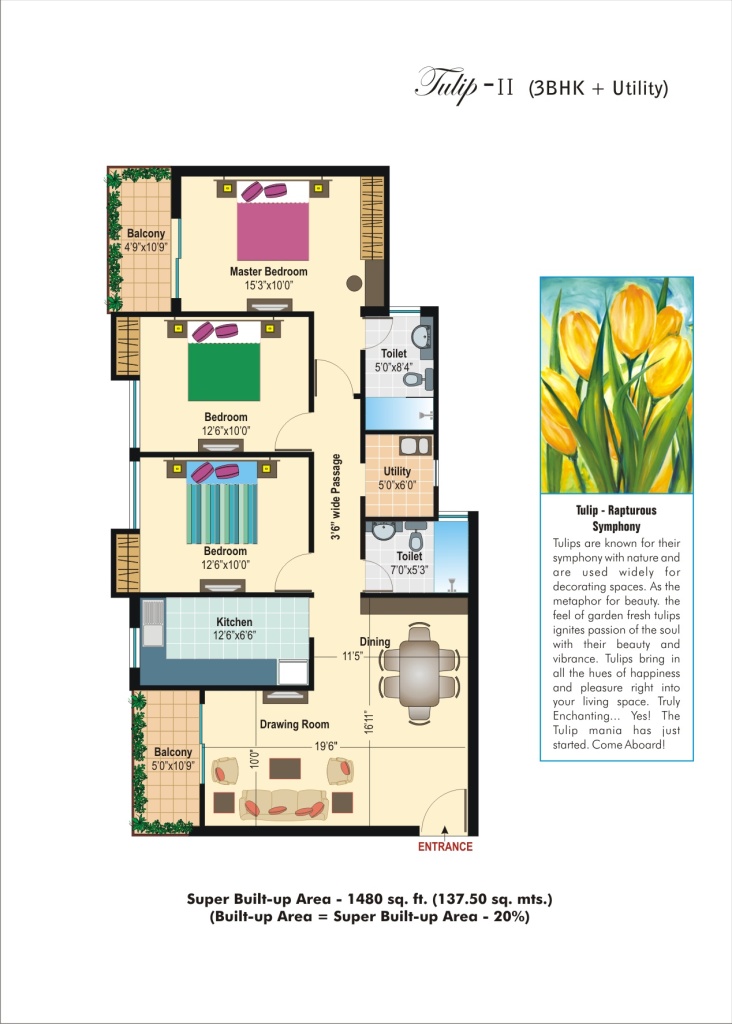 3 BHK + Utility